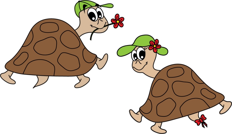 DĚTSKÉ samolepky na zeď - Veselé želvy