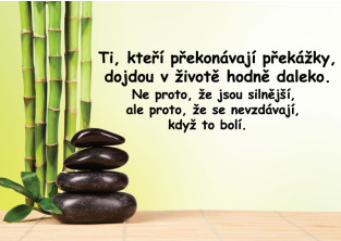 Samolepky na zeď - Nápis - Překážky