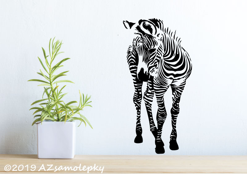 Samolepky na zeď - Mládě zebry - XL (61 x 120 cm)