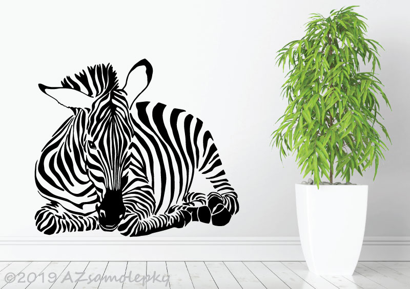 Samolepky na zeď - Ležící zebra - M (80 x 70 cm)