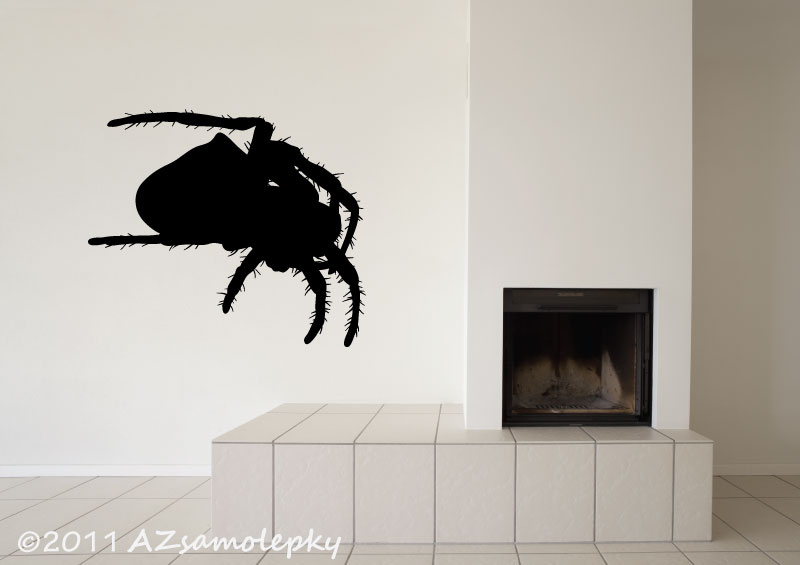 Samolepky na zeď - Pavouk I - L (70 x 50 cm)