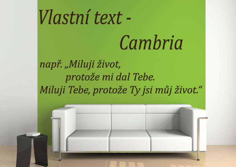 Samolepky na zeď-Vlastní text-Cambria - XS (výška 1.písmene - 3 cm)